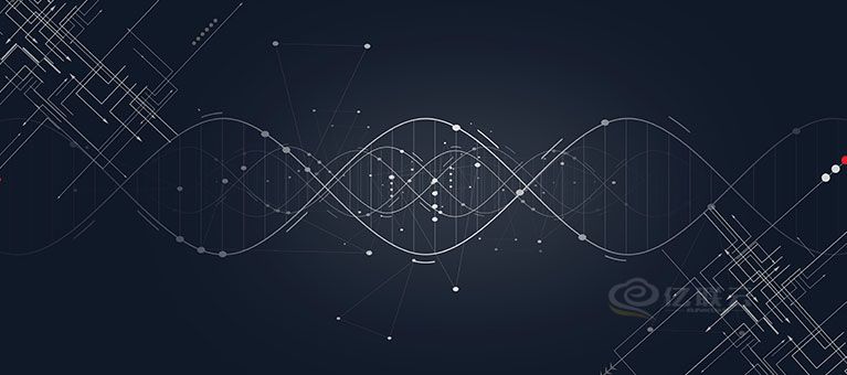 SD-WAN vs 传统网络